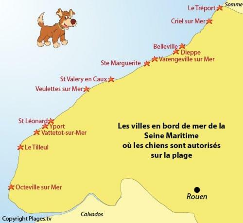 Le Kaleho, Grand Duplex Au Coeur De Dieppe - Netflix Bagian luar foto